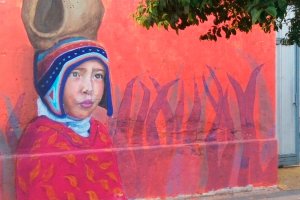 “EL OBJETIVO ES DAR COLOR AL GRIS DE LAS CIUDADES”