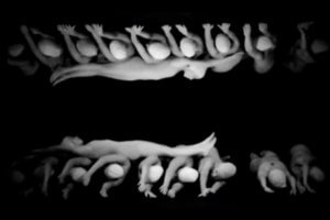 PREPARAN UN CORTO Y VIDEO INSTALACIÓN SOBRE LA DICTADURA