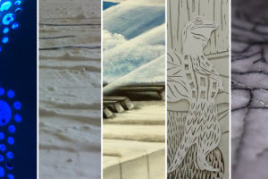 EL BELLAS ARTES EXPONE “SIMULTÁNEAS” EN LA USINA