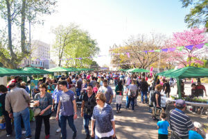CONVOCATORIA PARA “MÚSICA EN LA FERIA”