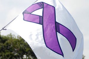 ACTIVIDADES EN EL MES CONTRA LA VIOLENCIA DE GÉNERO