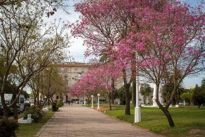 TALLER ABIERTO PARA CONOCER SOBRE LA HISTORIA DE VILLA MARÍA