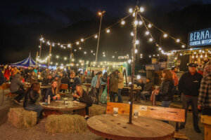 FIESTA DE LA CERVEZA: CONVOCAN A MÚSICOS/AS Y EMPRENDEDORES/AS