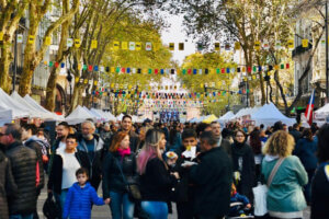 TODA LA INFO SOBRE LA FIESTA DE LA COLECTIVIDADES