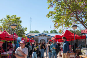 SE VIENE UNA NUEVA EDICIÓN DE LA FERIA SABERES Y SABORES